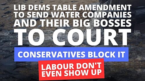 A sewage pipe pouring out on to a beach. Text: "LibDems table amendment to send water companies and their big bosses to court. Conservatives block it. Labour don't even show up."